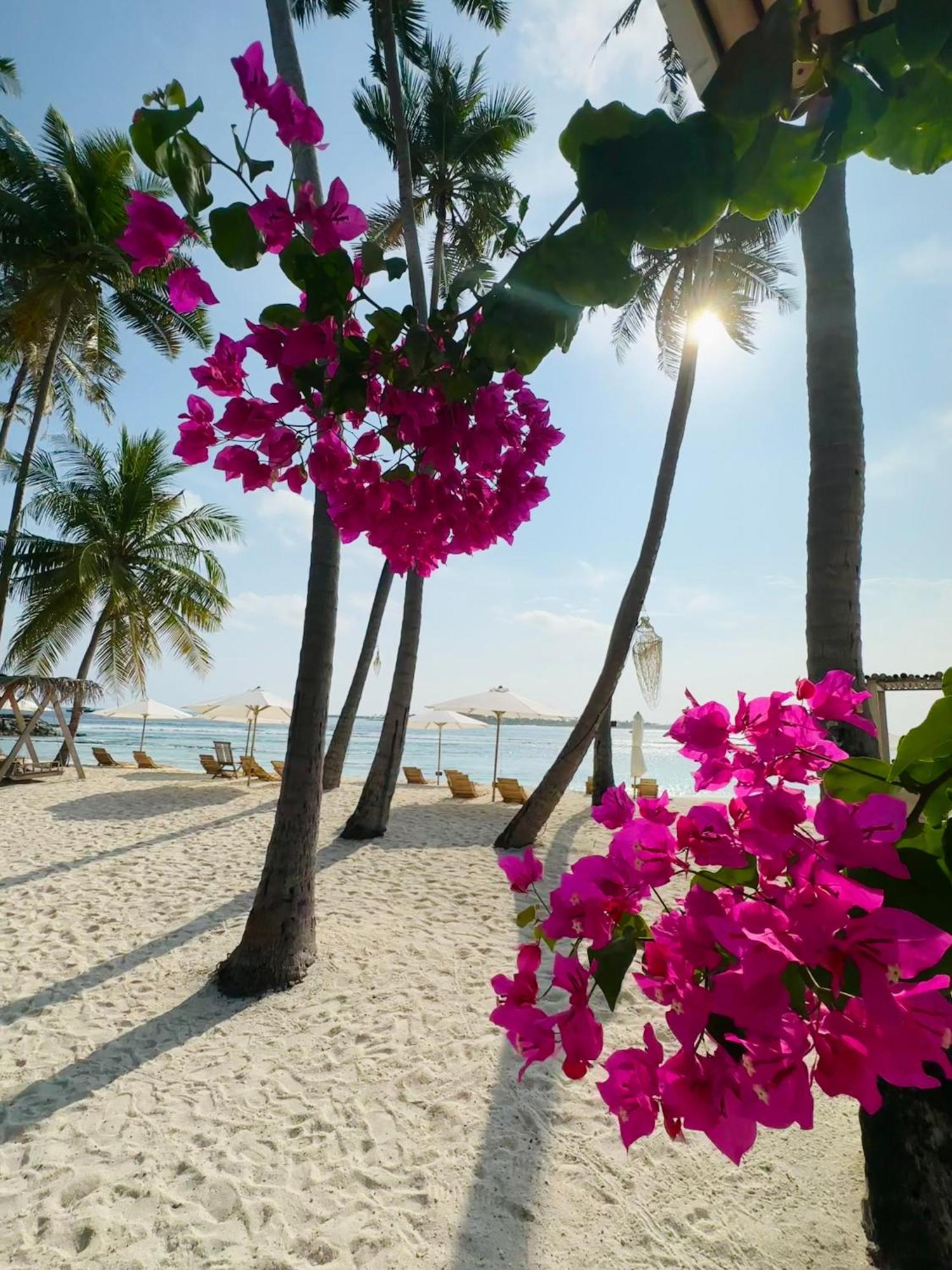 Met House Hotel Thulusdhoo Exterior photo