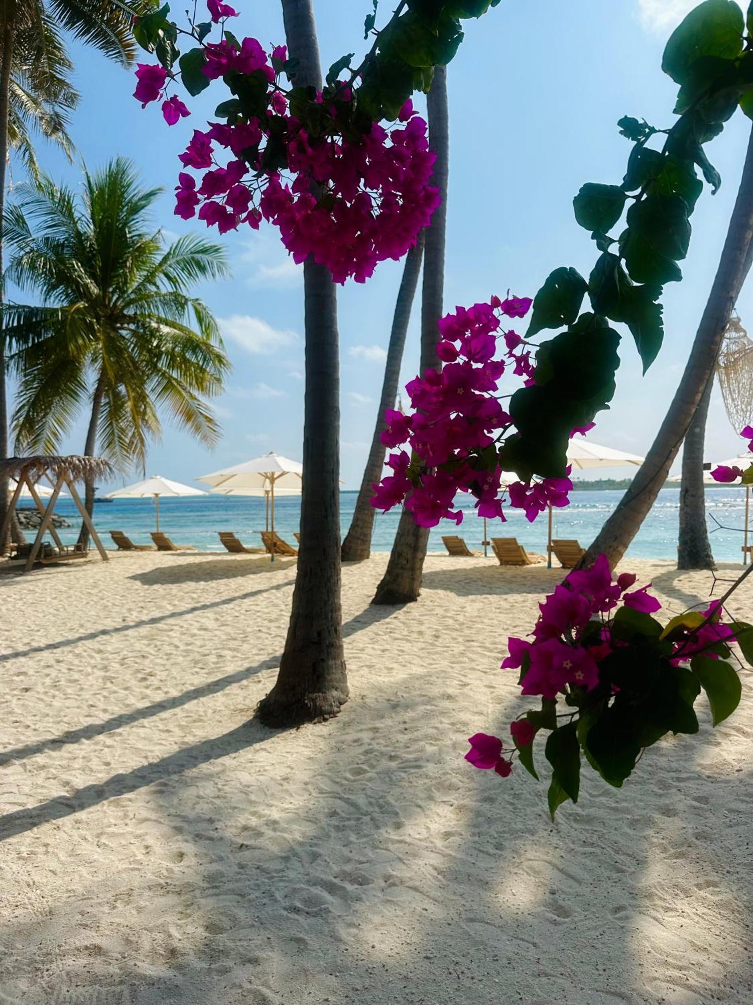 Met House Hotel Thulusdhoo Exterior photo